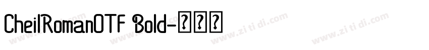 CheilRomanOTF Bold字体转换